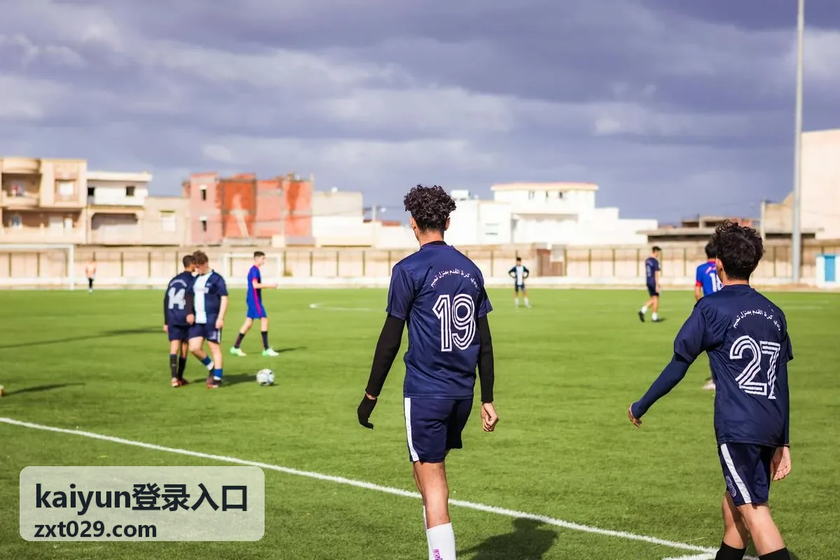 kaiyun登录入口 登录前的运行环境确认界面示意