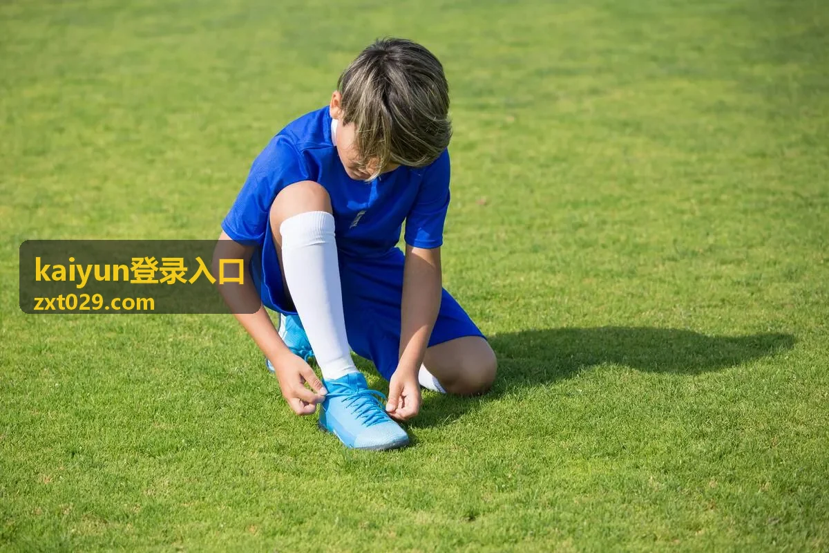 kaiyun登录入口桌面客户端下载方式界面示意