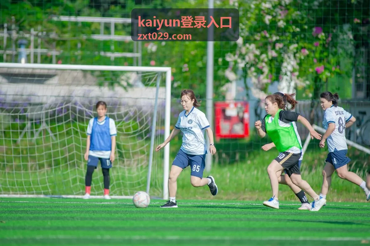 kaiyun登录入口 登录授权完成后的状态查看示意